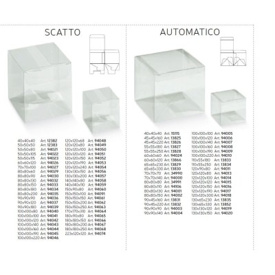 Skaidri kvadratinė dėžutė Scatto